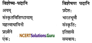 NCERT Solutions for Class 8 Sanskrit Chapter 9 सप्तभगिन्यः Q7.1