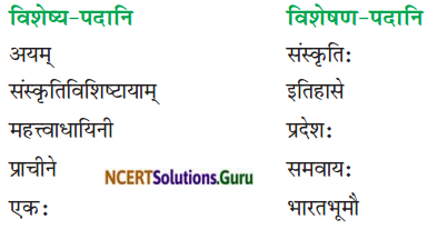 NCERT Solutions for Class 8 Sanskrit Chapter 9 सप्तभगिन्यः Q7