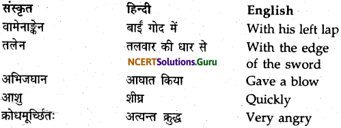 NCERT Solutions for Class 9 Sanskrit Shemushi Chapter 10 जटायोः शौर्यम् 12