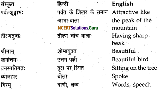 NCERT Solutions for Class 9 Sanskrit Shemushi Chapter 10 जटायोः शौर्यम् 5