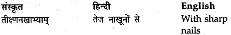 NCERT Solutions for Class 9 Sanskrit Shemushi Chapter 10 जटायोः शौर्यम् 8