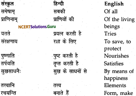 NCERT Solutions for Class 9 Sanskrit Shemushi Chapter 11 1