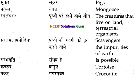 NCERT Solutions for Class 9 Sanskrit Shemushi Chapter 11 पर्यावरणम् 10