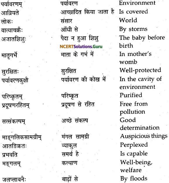 NCERT Solutions for Class 9 Sanskrit Shemushi Chapter 11 पर्यावरणम् 2