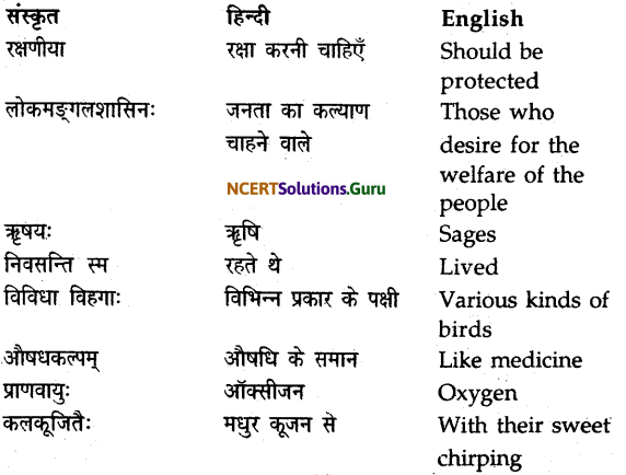 NCERT Solutions for Class 9 Sanskrit Shemushi Chapter 11 पर्यावरणम् 4