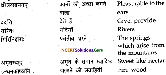 NCERT Solutions for Class 9 Sanskrit Shemushi Chapter 11 पर्यावरणम् 5