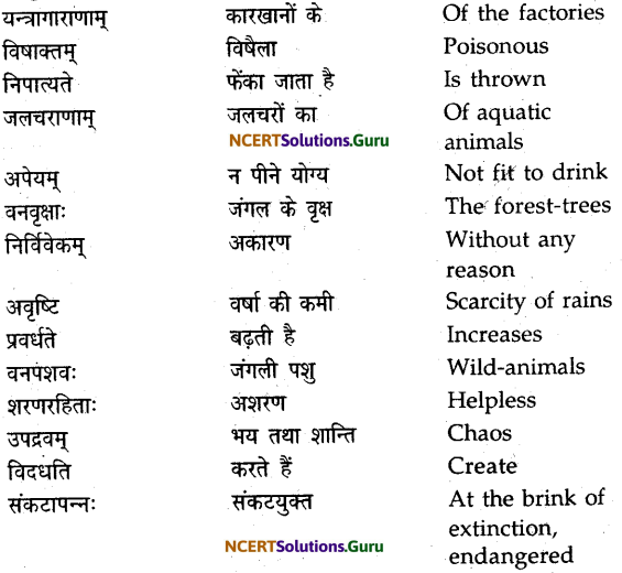 NCERT Solutions for Class 9 Sanskrit Shemushi Chapter 11 पर्यावरणम् 7