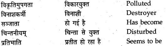 NCERT Solutions for Class 9 Sanskrit Shemushi Chapter 11 पर्यावरणम् 8