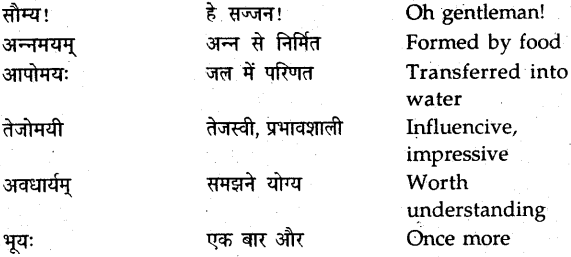 NCERT Solutions for Class 9 Sanskrit Shemushi Chapter 12 वाडमनःप्राणस्वरूपम् 2