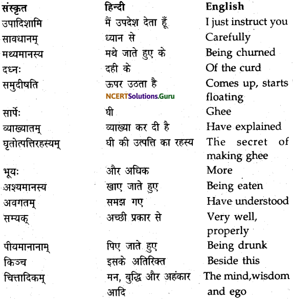 NCERT Solutions for Class 9 Sanskrit Shemushi Chapter 12 वाडमनःप्राणस्वरूपम् 3