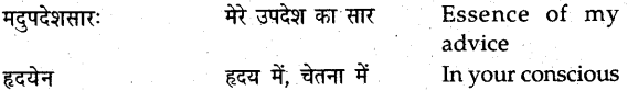 NCERT Solutions for Class 9 Sanskrit Shemushi Chapter 12 वाडमनःप्राणस्वरूपम् 4