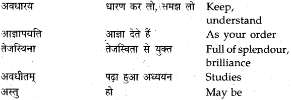 NCERT Solutions for Class 9 Sanskrit Shemushi Chapter 12 वाडमनःप्राणस्वरूपम् 5