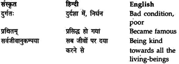 NCERT Solutions for Class 9 Sanskrit Shemushi Chapter 4 कल्पतरूः 4