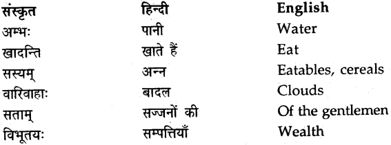NCERT Solutions for Class 9 Sanskrit Shemushi Chapter 5 सूक्तिमौक्तिकम् 4