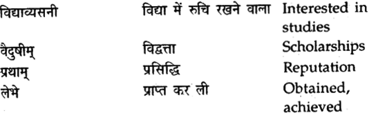 NCERT Solutions for Class 9 Sanskrit Shemushi Chapter 6 भ्रान्तो बालः 4