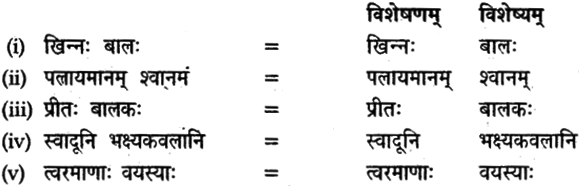 NCERT Solutions for Class 9 Sanskrit Shemushi Chapter 6 भ्रान्तो बालः 5