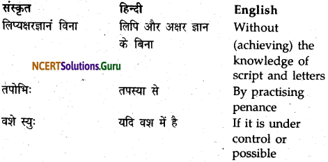 NCERT Solutions for Class 9 Sanskrit Shemushi Chapter 9 सिकतासेतुः 7