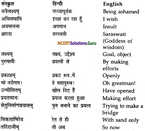 NCERT Solutions for Class 9 Sanskrit Shemushi Chapter 9 सिकतासेतुः 8