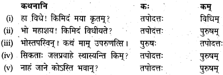 NCERT Solutions for Class 9 Sanskrit Shemushi Chapter 9 सिकतासेतुः 9