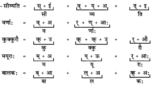 NCERT Solutions for Class 6 Sanskrit Chapter 1 शब्द परिचयः 1.7
