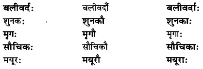 NCERT Solutions for Class 6 Sanskrit Chapter 1 शब्द परिचयः 1.9