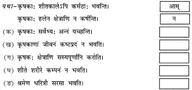NCERT Solutions for Class 6 Sanskrit Chapter 10 कृषिकाः कर्मवीराः 2
