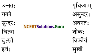 NCERT Solutions for Class 6 Sanskrit Chapter 13 विमानयानं रचयाम 1