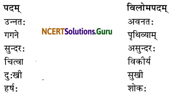 NCERT Solutions for Class 6 Sanskrit Chapter 13 विमानयानं रचयाम 2