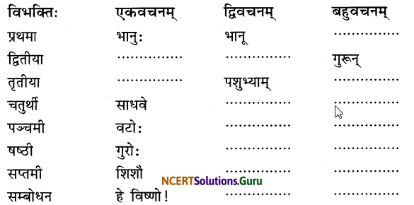 NCERT Solutions for Class 6 Sanskrit Chapter 13 विमानयानं रचयाम 3