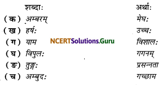 NCERT Solutions for Class 6 Sanskrit Chapter 13 विमानयानं रचयाम 7