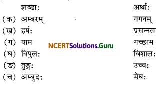 NCERT Solutions for Class 6 Sanskrit Chapter 13 विमानयानं रचयाम 8