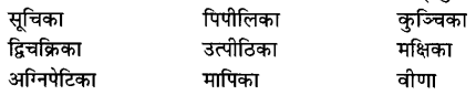 NCERT Solutions for Class 6 Sanskrit Chapter 2 शब्द परिचयः 2.2