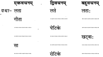 NCERT Solutions for Class 6 Sanskrit Chapter 2 शब्द परिचयः 2.7