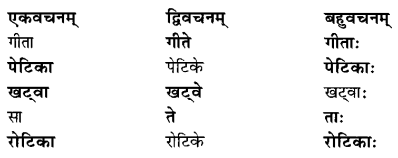 NCERT Solutions for Class 6 Sanskrit Chapter 2 शब्द परिचयः 2.8
