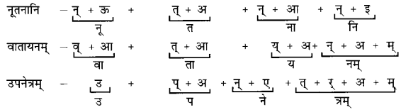 NCERT Solutions for Class 6 Sanskrit Chapter 3 शब्द परिचयः 3.6