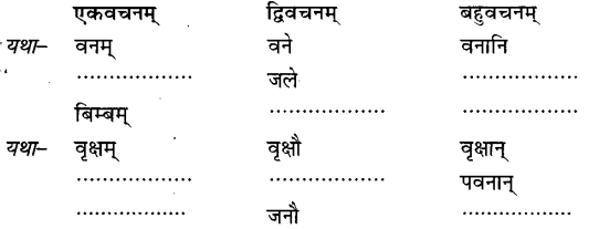 NCERT Solutions for Class 6 Sanskrit Chapter 5 वृक्षाः 1