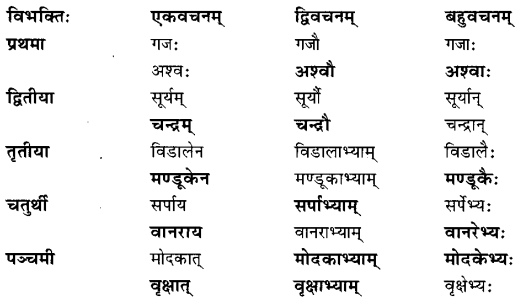 NCERT Solutions for Class 6 Sanskrit Chapter 5 वृक्षाः 4