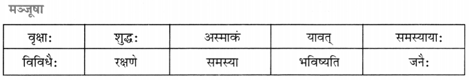 CBSE Class 7 Sanskrit रचना अनुच्छेद-लेखनम् 9