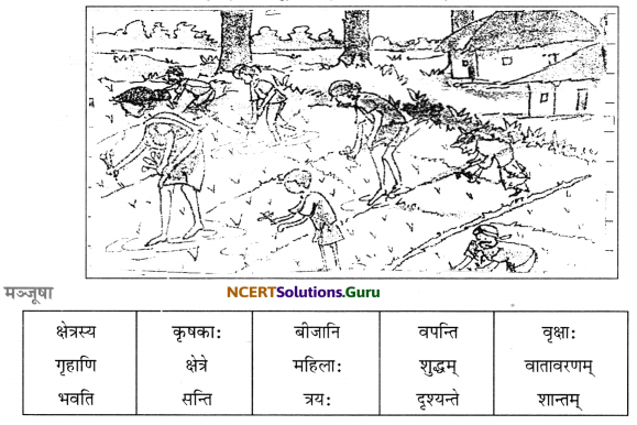 CBSE Class 7 Sanskrit रचना चित्राधारित-वर्णनम् 7