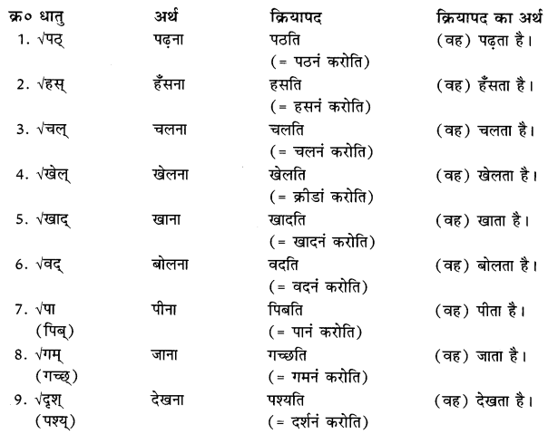 Class 6 Sanskrit Grammar Book Solutions धातु-क्रिया-परिचयः 3