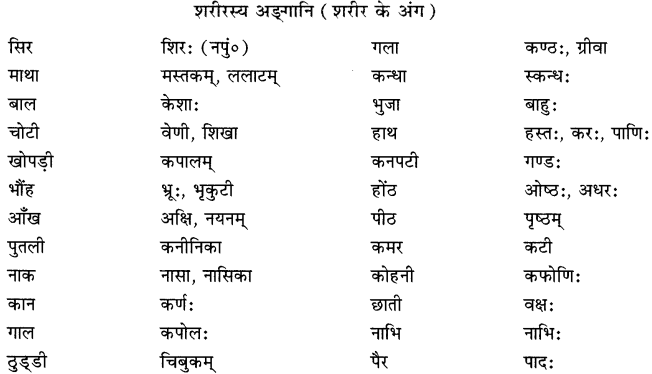 Class 6 Sanskrit Grammar Book Solutions परिशिष्टम् 2