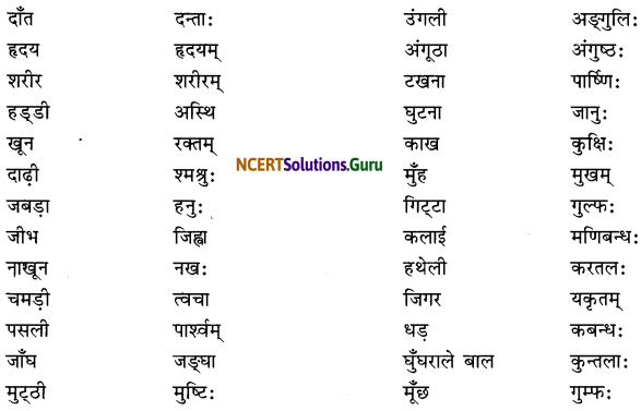 Class 6 Sanskrit Grammar Book Solutions परिशिष्टम् 3