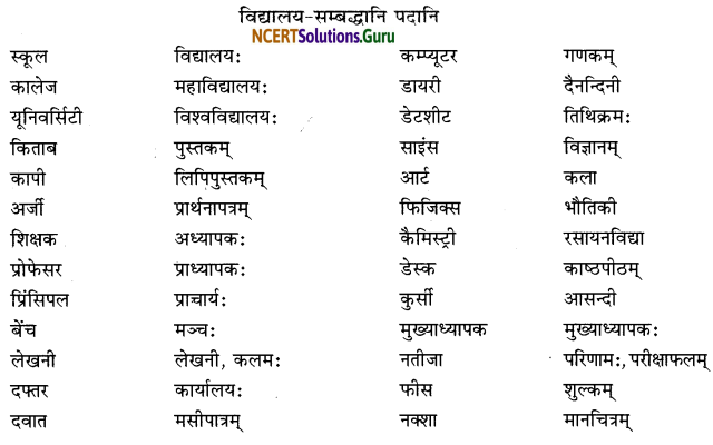 Class 6 Sanskrit Grammar Book Solutions परिशिष्टम् 5