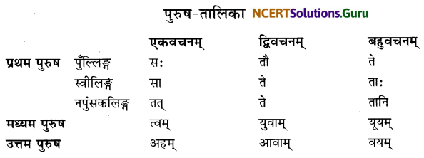 Class 6 Sanskrit Grammar Book Solutions पुरुषबोधनम् 1