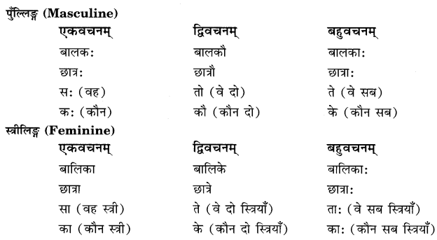Class 6 Sanskrit Grammar Book Solutions पुरुषबोधनम् 2