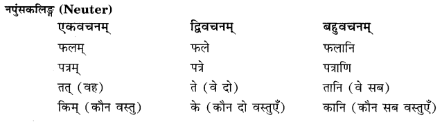 Class 6 Sanskrit Grammar Book Solutions पुरुषबोधनम् 3
