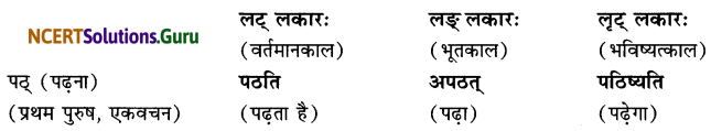 Class 6 Sanskrit Grammar Book Solutions लकार-परिचयः 1