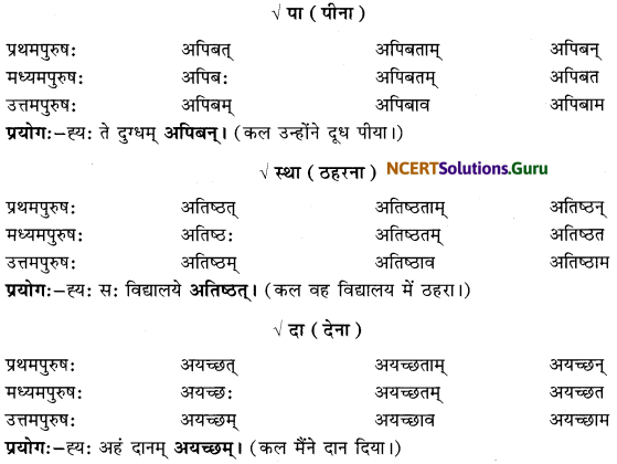 Class 6 Sanskrit Grammar Book Solutions लकाररूपाणि 10