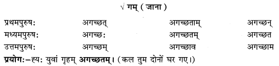 Class 6 Sanskrit Grammar Book Solutions लकाररूपाणि 11