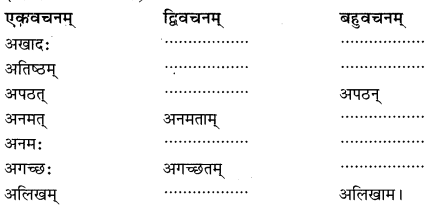 Class 6 Sanskrit Grammar Book Solutions लकाररूपाणि 12